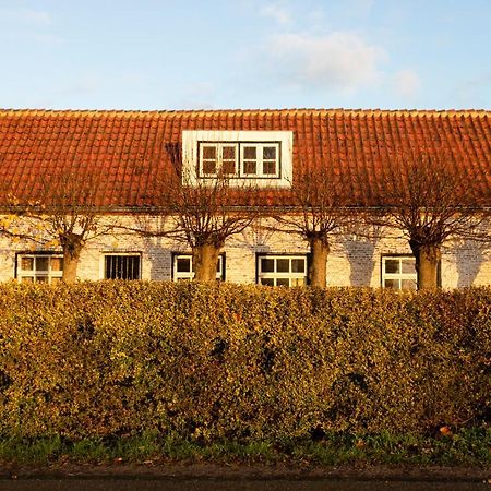 De 6 Linden Boutique Hotel Sluis Esterno foto