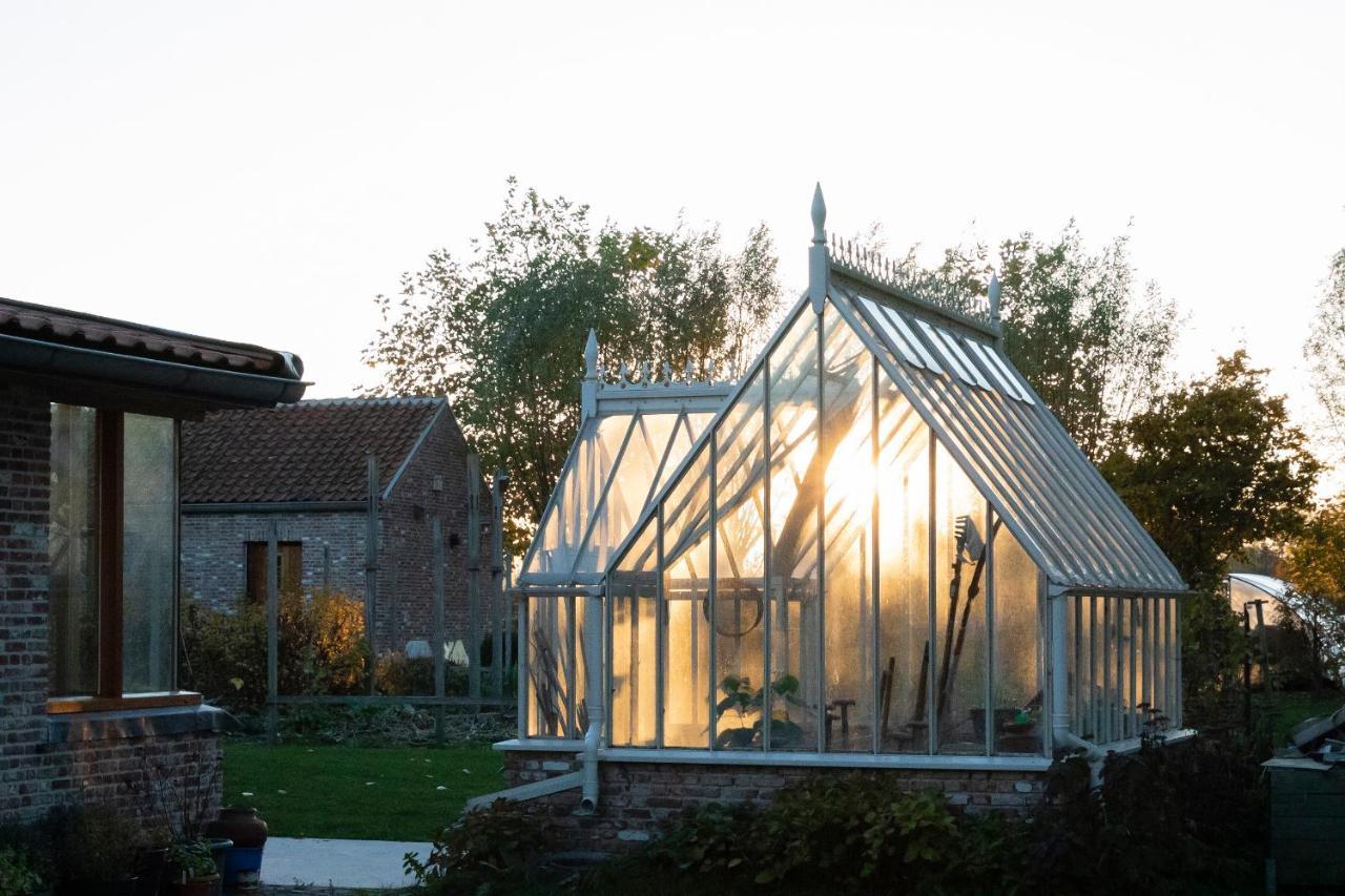 De 6 Linden Boutique Hotel Sluis Esterno foto
