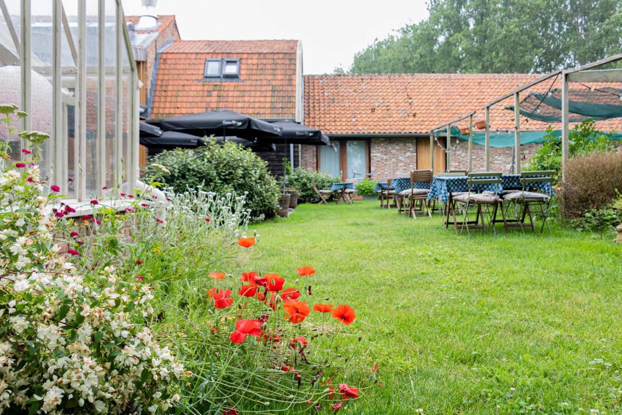 De 6 Linden Boutique Hotel Sluis Esterno foto